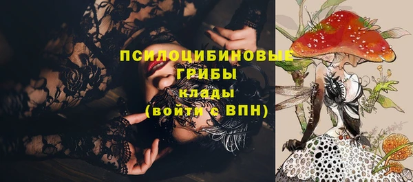 spice Алексин
