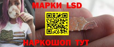 прущие грибы Ирбит