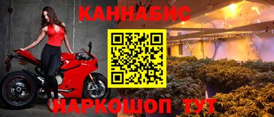 СК Шебекино
