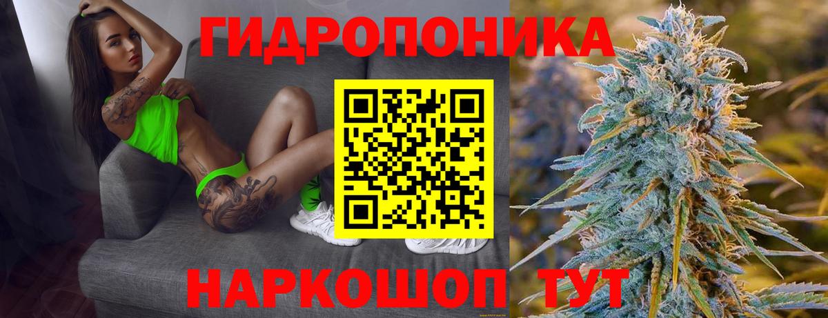 Бошки Шишки планчик Нягань